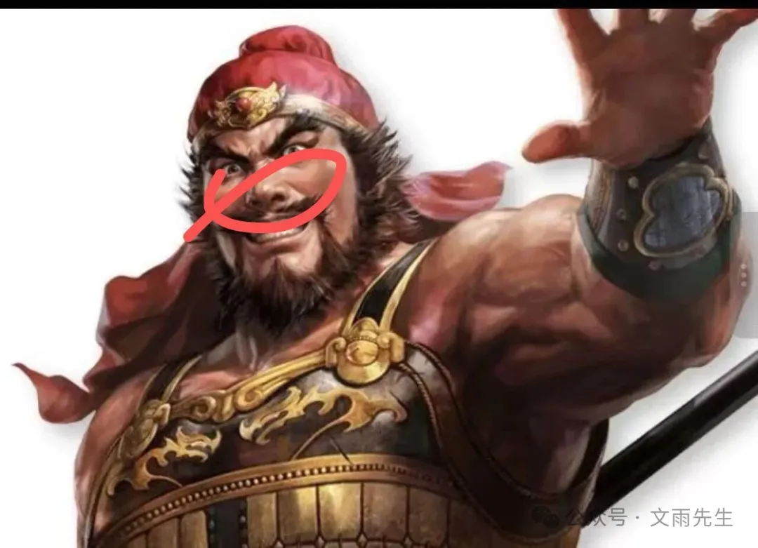 武将插画，保留鼻部红色圈注与原图公众号水印